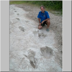 102_6599 (2013-08-10)m.JPG